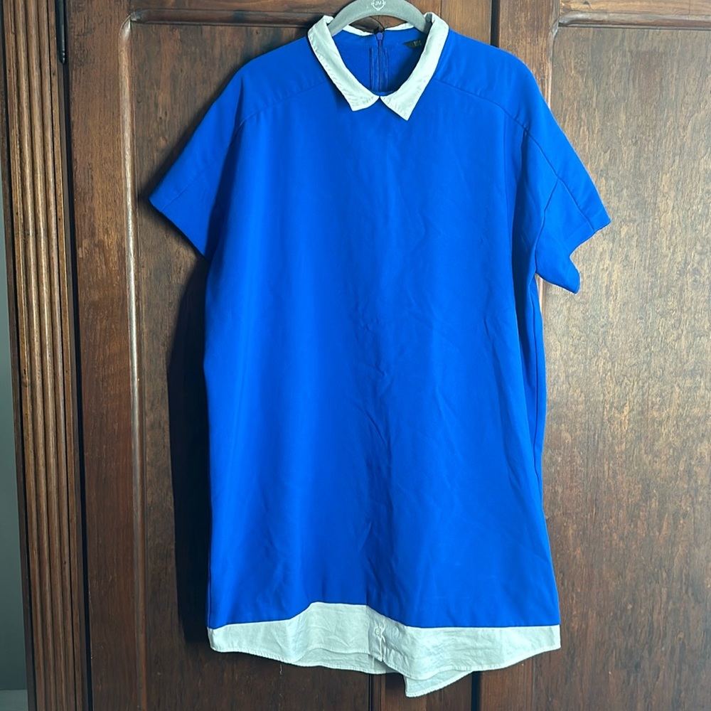 Zara Basic Collection Dress Shirt Dress
